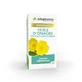 Arkopharma Arkocapsule Evening Primrose Oil 60 ArkoCapsules