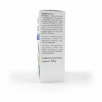 Arkopharma Activox Nase und Rachen ätherische Öle 20 Inhalationstabletten Arkopharma Activox Nase und Rachen ätherische Öle 20 Inhalationstabletten