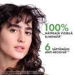 Rezerva eco sampon anti-matreata pentru par normal-gras Dercos, 390 ml, Vichy