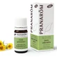 Pranarôm Essential Oils Flowering Tops Sweet Flag 5ml