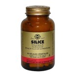 Solgar Oceane Silicea 50 Plant Gelsules Os/Cartilages Beauté Peau 50 gélules végétales