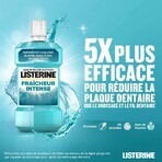 Listerine Bain De Bouche Fraicheur Intense 500ml Listerine Bain De Bouche Fraicheur Intense 500ml