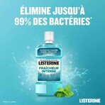 Listerine Bain De Bouche Fraicheur Intense 500ml Listerine Bain De Bouche Fraicheur Intense 500ml