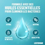 Listerine Bain De Bouche Fraicheur Intense 500ml Listerine Bain De Bouche Fraicheur Intense 500ml