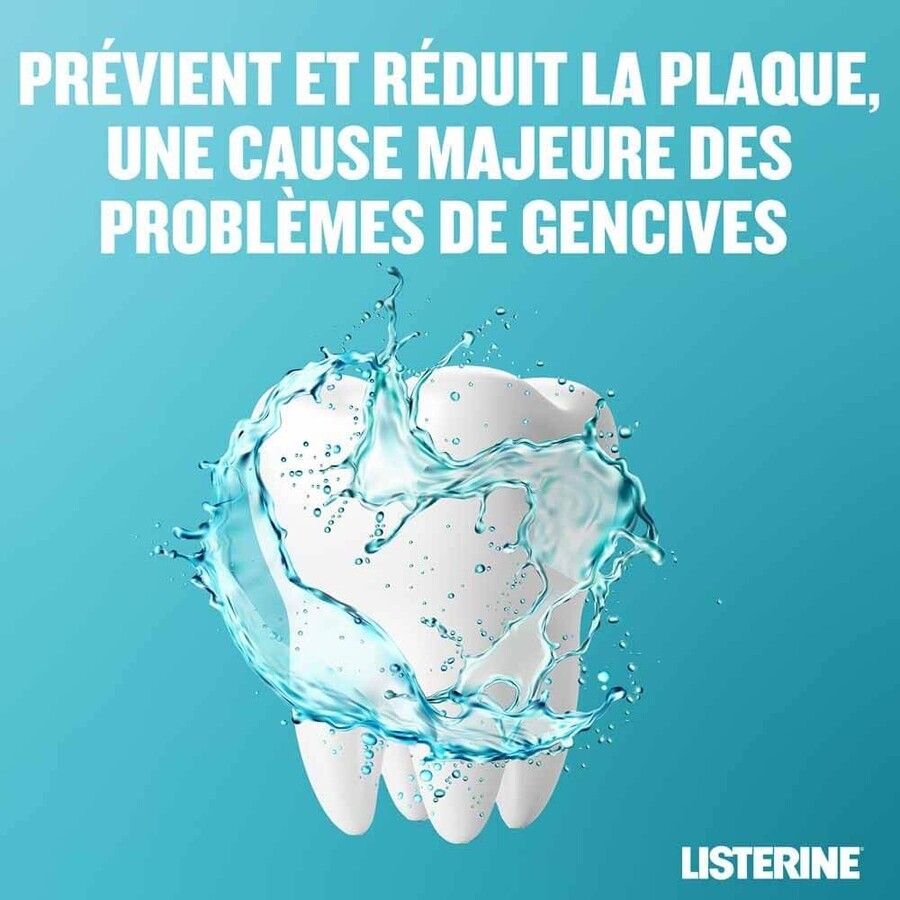 Listerine Bain De Bouche Fraicheur Intense 500ml