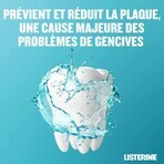 Listerine Bain De Bouche Fraicheur Intense 500ml Listerine Bain De Bouche Fraicheur Intense 500ml
