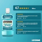 Listerine Bain De Bouche Fraicheur Intense 500ml Listerine Bain De Bouche Fraicheur Intense 500ml