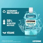 Listerine Bain De Bouche Fraicheur Intense 500ml Listerine Bain De Bouche Fraicheur Intense 500ml