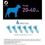 Frontline Spot-on Perro 20-40 kg 6 pipetas 2,68 ml