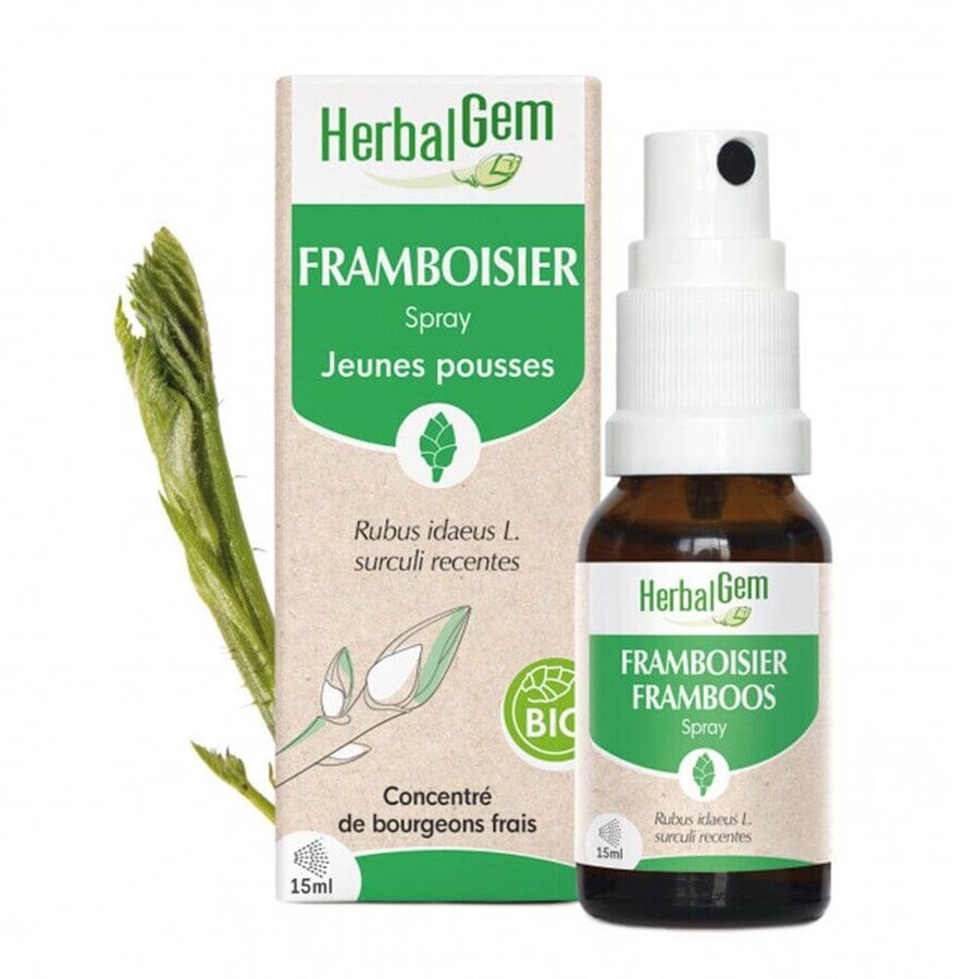 Herbalgem Bourgeons Frambuesa Spray Bio 15ml