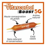 Vitascorbol Boost by Coup De Fouet Boost 200 ml
