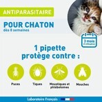 Pipetas Vetoform Kitten para el control de parásitos 3x0,6ml