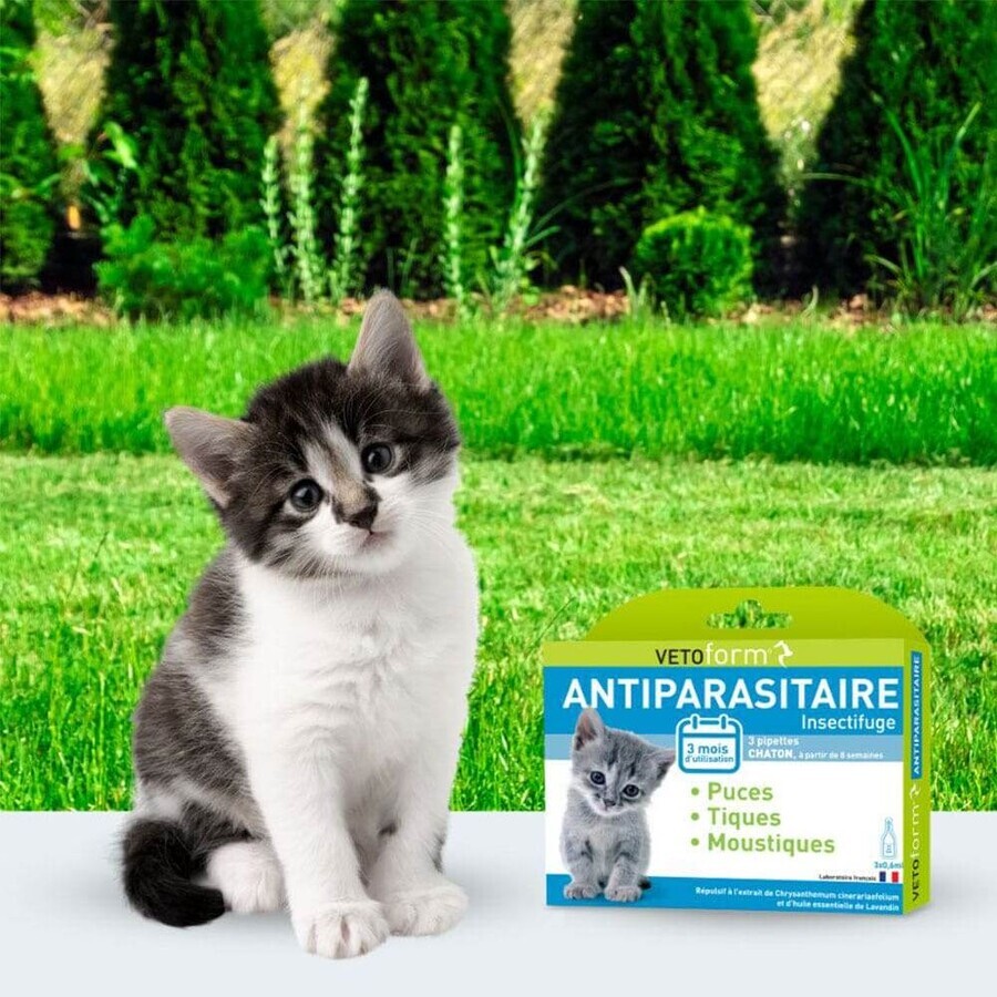 Pipetas Vetoform Kitten para el control de parásitos 3x0,6ml