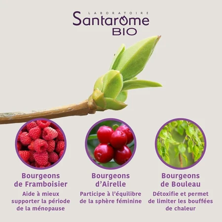 Santarome Bio Menopauze Complex Gémmothérapie 30 ml