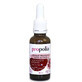 Propolis Alcohol-Free Propolis Extract 30ml