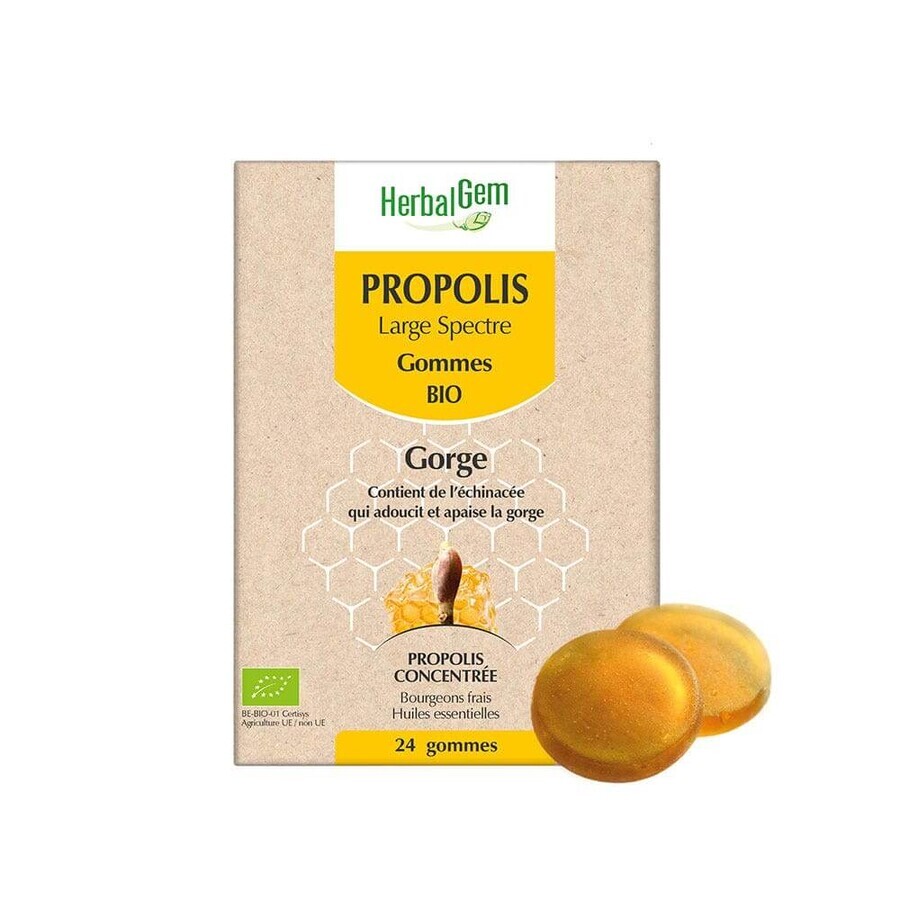 Herbalgem Propolis Broad Spectrum Organic Gummies x24