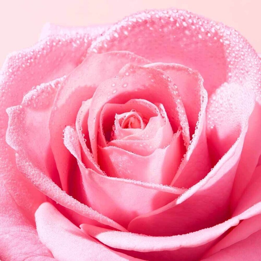 Nuxe Sehr Rose Gelée Nettoyante Apaisante 150ml Nuxe Sehr Rose Gelée Nettoyante Apaisante 150ml