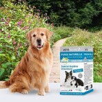 Vetoform Chien Purge Chiot 50 comprimés