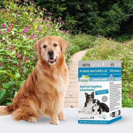Vetoform Chien Purge Chiot 50 comprimés