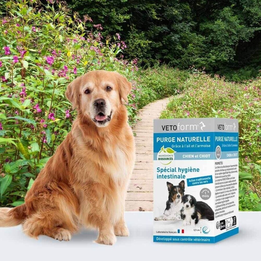 Vetoform Chien Purge Chiot 50 comprimés