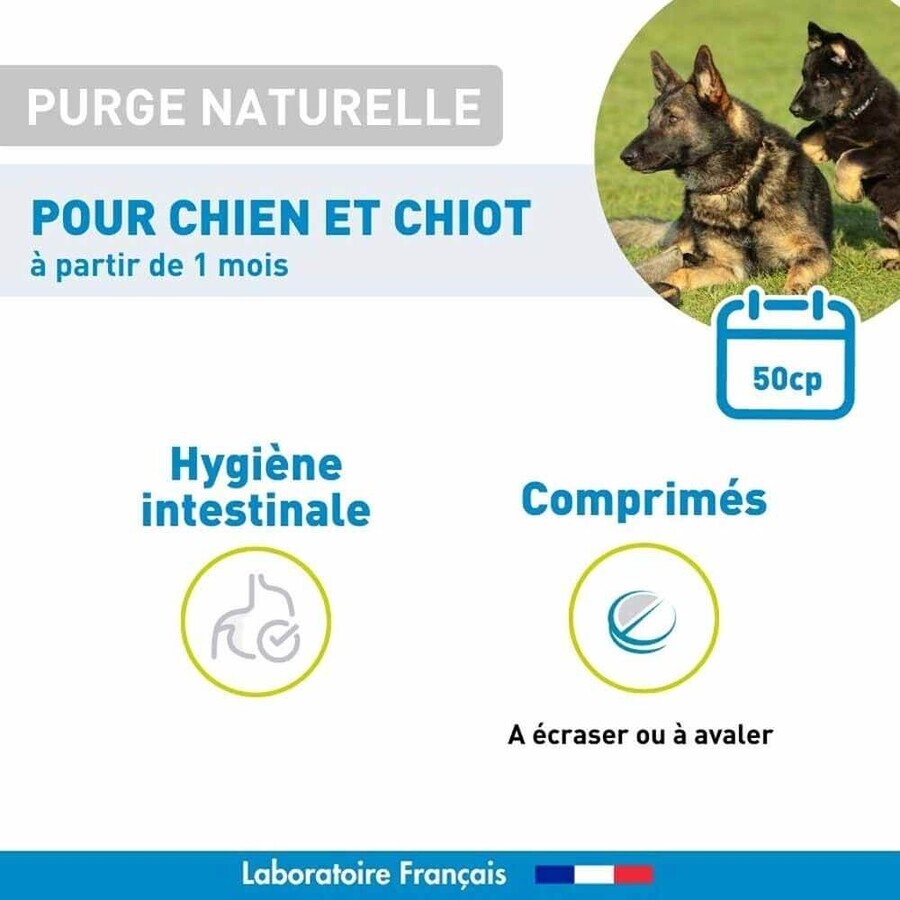 Vetoform Chien Purge Chiot 50 comprimés