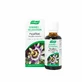 A.Vogel France Frischpflanzenextrakt Passionsblume 50ml