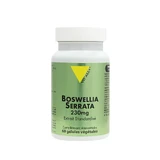 Vit'All+ Boswellia Serrata 230mg 60 gélules végétales