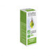 Vitaflor Extracto org&#225;nico de brotes de abedul 15ml