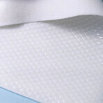 IBSA Flect'Expert Arnica esparadrapo 10x14 cm x5 IBSA Flect'Expert Arnica esparadrapo 10x14 cm x5