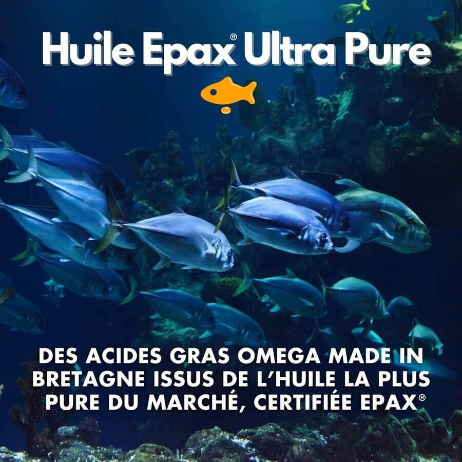 Kotor Pharma Omega 3 Epax Funzione cerebrale e salute cardiovascolare 60 capsule