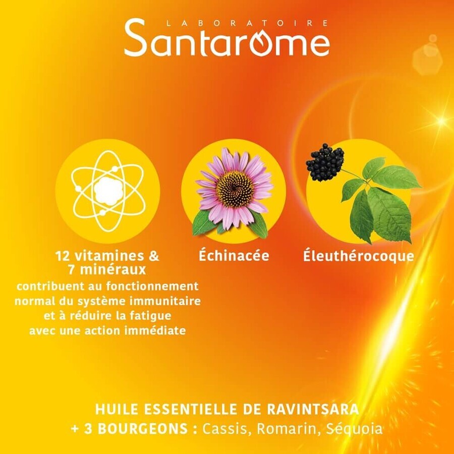 Santarome Vita'max Boost voor Flash Immunea 30 tabletten