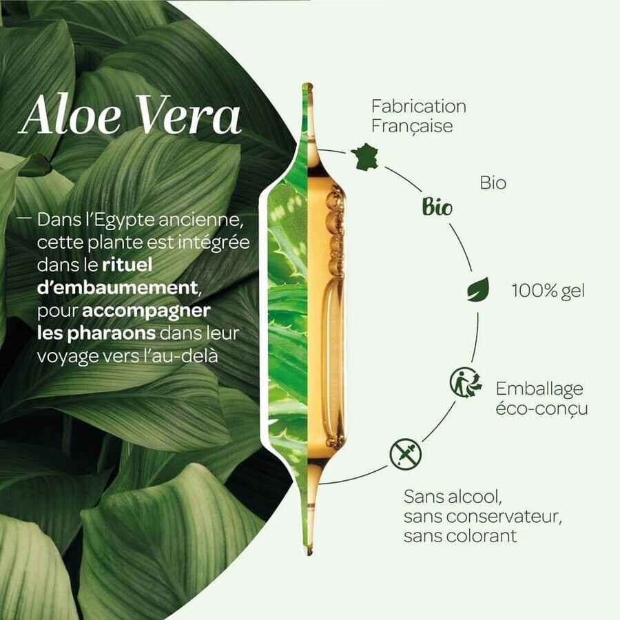 Superdieet Aloë Vera Bio Slijm 10 Injectieflacons 15ml
