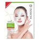 Incarose Bio Regenerierende Gesichtsmaske