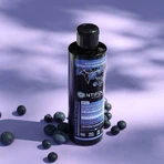 Centifolia Organic Violet Dejaunizing Shampoo Organic gray, white and blond hair 200 ml