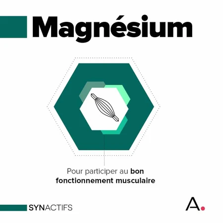 Aragan Synactifs Relajación Muscular Mioactiva 30 cápsulas