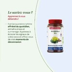 Superdiet Rhodiola 90 Gelules