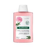 Klorane Champú Calmante Peonía Cuero Cabelludo Sensible Bio 200ml