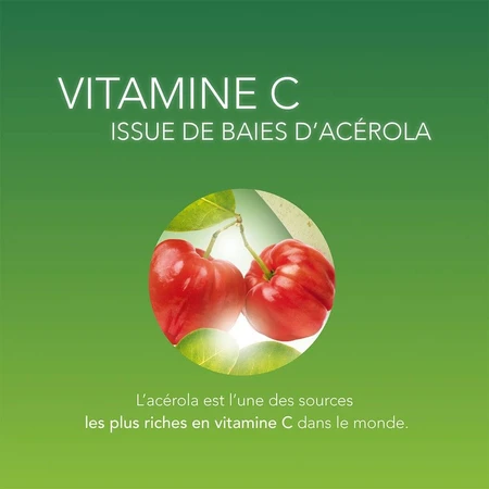 Arkopharma Azinc Acerola 1000 Vitamine C Naturelle 2x30 comprimés