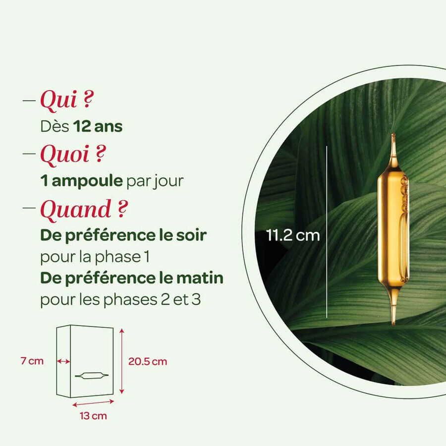 Superdiet Detox Program 3x10 Ampoules 30 Ampoules Superdiet Detox Program 3x10 Ampoules 30 Ampoules