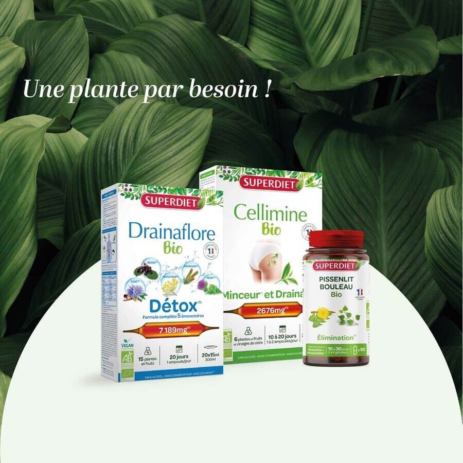 Superdiet Detox Program 3x10 Ampoules 30 Ampoules Superdiet Detox Program 3x10 Ampoules 30 Ampoules
