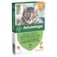 Advantage 40 Pour Petit Chat Et Lapin Moins De 4 Kilos 6x0.4ml