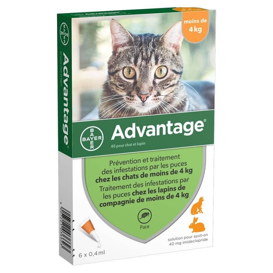 Advantage 40 Gatos y conejos pequeños de menos de 4 kg 6x0,4ml