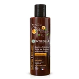 Centifolia Abrikozenboter/jojobaolie shampoo crème voor droog haar 200 ml