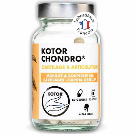 Kotor Pharma Condro Kraakbeen en Gewricht 60 Capsules