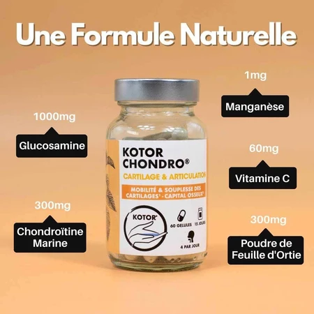 Kotor Pharma Condro Kraakbeen en Gewricht 60 Capsules
