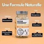 Kotor Pharma Condro Cartilagine e articolazioni 60 capsule Kotor Pharma Condro Cartilagine e articolazioni 60 capsule