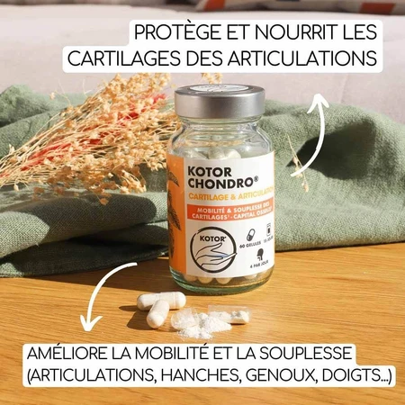 Kotor Pharma Condro Kraakbeen en Gewricht 60 Capsules