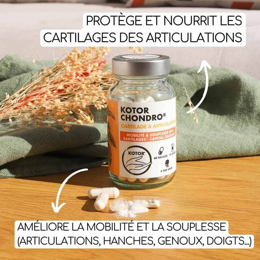Kotor Pharma Condro Cartilagine e articolazioni 60 capsule