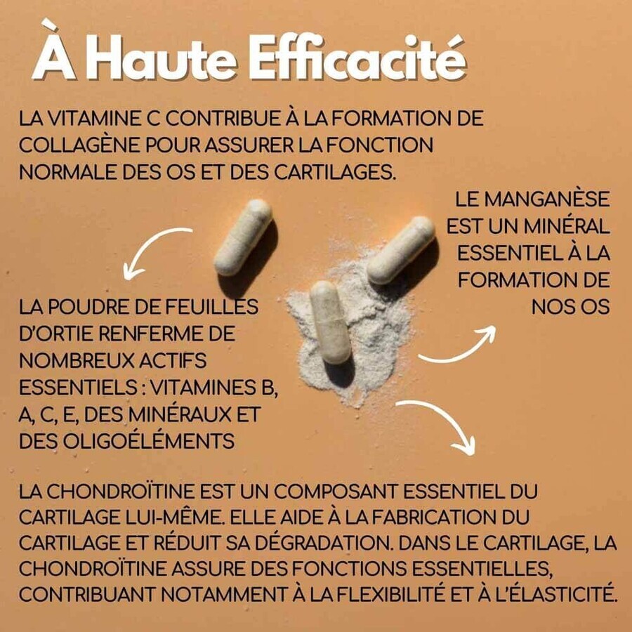 Kotor Pharma Condro Cartilagine e articolazioni 60 capsule
