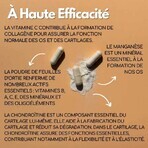 Kotor Pharma Condro Cartilagine e articolazioni 60 capsule Kotor Pharma Condro Cartilagine e articolazioni 60 capsule
